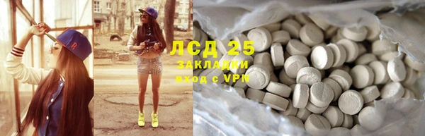 стафф Новодвинск