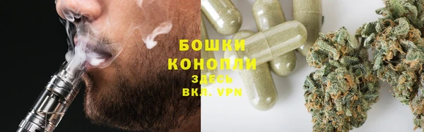 соль ск Новозыбков