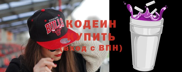 индика Новокубанск