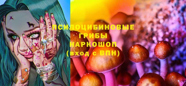 стафф Новодвинск