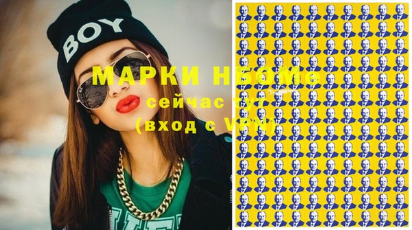 индика Новокубанск