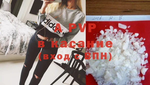 стафф Новодвинск