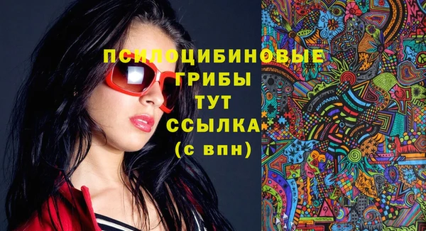 соль ск Новозыбков