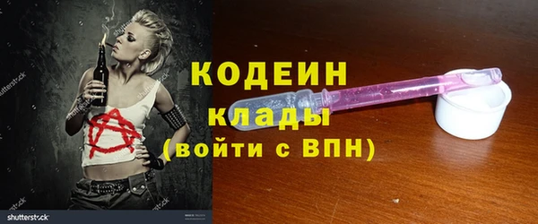винт Няндома