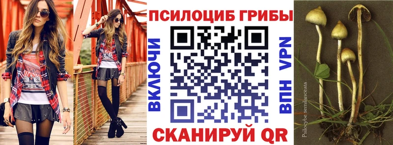 Псилоцибиновые грибы ЛСД  блэк спрут онион  Лукоянов  где купить наркотик 